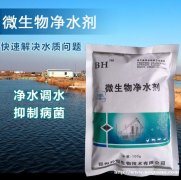 鱼塘不必换水也能净化水质的方法
