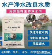 景观鱼塘长期不换水也保持干净的妙招