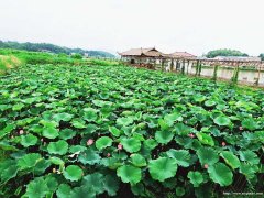 长沙周边哪里适合公司旅游 团队旅游 公司拓展