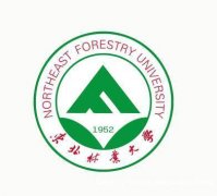东北林业大学自考艺术/产品设计专业助学报考解读