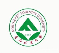 东北林业大学自考本科可以拿学历学位双证吗