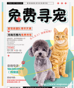 郑州专业找猫寻狗宠物侦探团队郑州专业寻宠团队