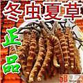 呼和浩特回收冬虫夏草电话25克60克500克价格