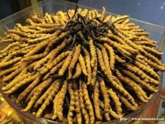 勿寄邮136 991 22221昆明市收购冬虫夏草东阿阿胶