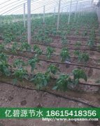 单县农业温室大棚滴灌带推荐型号