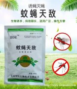 水产市场夏季灭杀苍蝇蟑螂用哪种药效果好方便