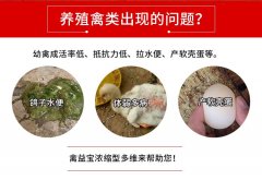 秋冬季养鸡鸭鹅鸽鹌鹑预防呼吸道疾病抗病毒抗应激