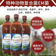 猪牛羊催肥增重饲料添加剂首选邦恒特种动物复合菌