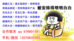 郑州棉花开户寻求帮助24小时在线服务代理加盟更轻松