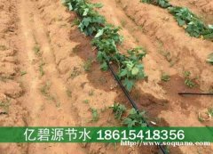 曹县农业灌溉pe微灌管型号参数