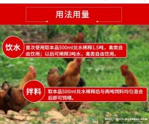 养殖乌骨鸡出现食欲下降产蛋变少的原因和解决办法