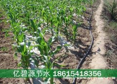 东明玉米小麦一亩地滴灌带多少钱