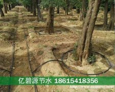 东明园林绿化苗木灌溉管道设计图