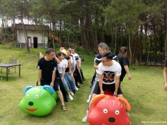 长沙公司团建拓展一天游,农家乐趣味一日游