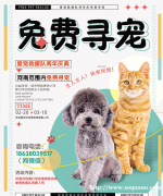 郑州找狗找猫郑州寻宠团队郑州寻宠团队靠谱吗